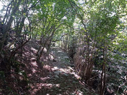 Sentier vers les Monti di Nar (1205 m) | Randonnée de Laglio au Mont Colmegnone